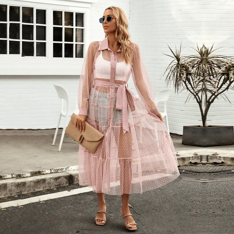 Sheer Mesh Perspective Long Sleeved Waist Cinching Dress